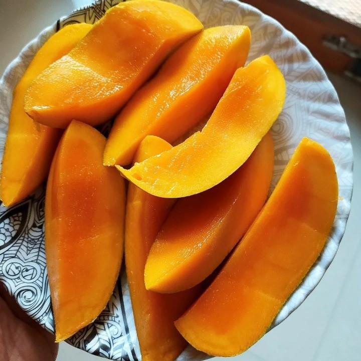 Summer's Favorite