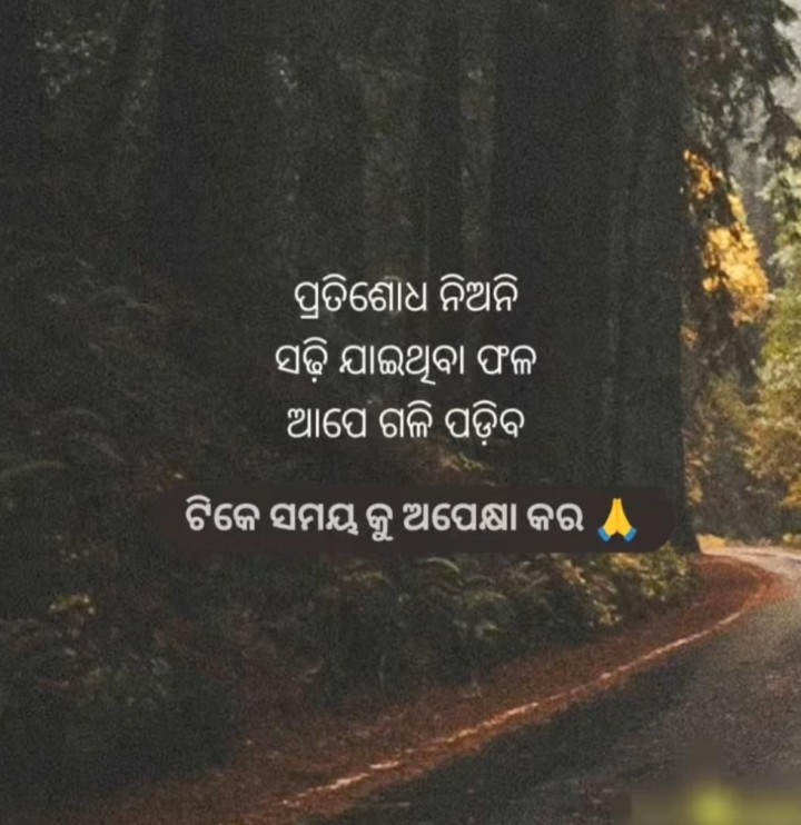 ଟିକେ ସମୟ କୁ ଅପେକ୍ଷା କର