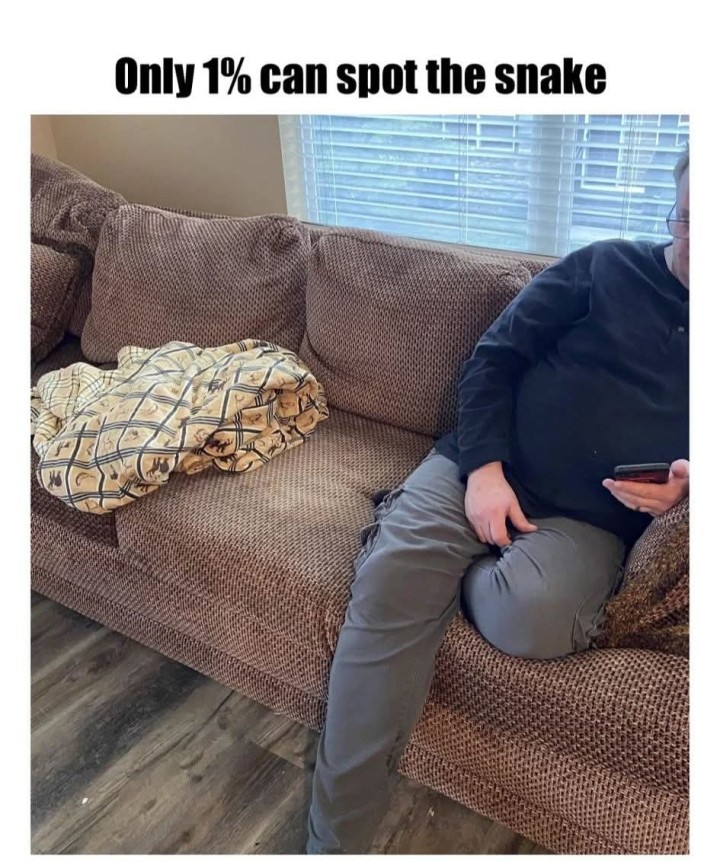 ನಿಮ್ಗೆ ಹಾವು ಕಾಣಿಸ್ತಾ