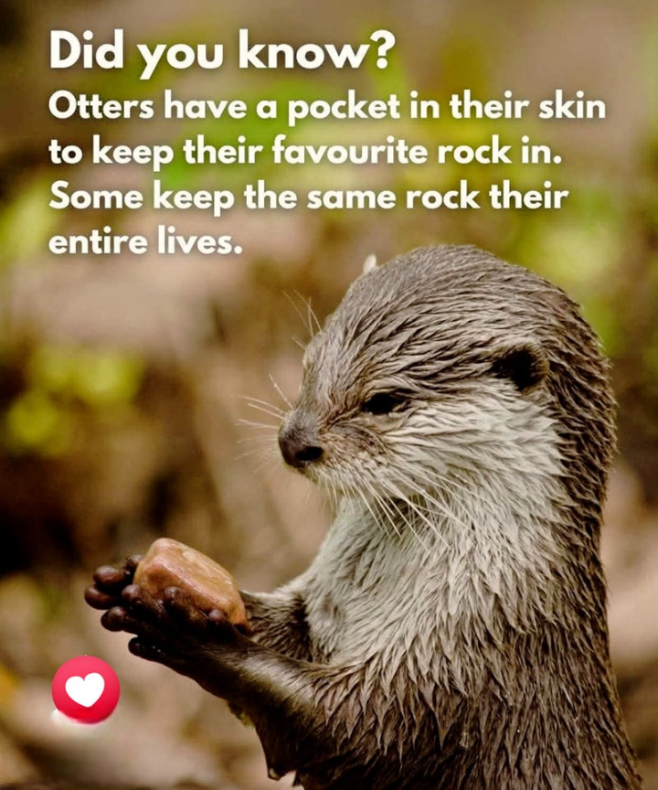 Did you know?