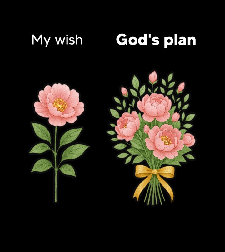 My wish and Gods plan.