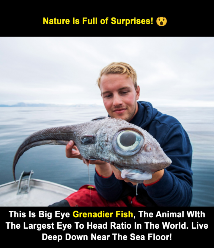 Many More Thing To Know About Our Own Planet.