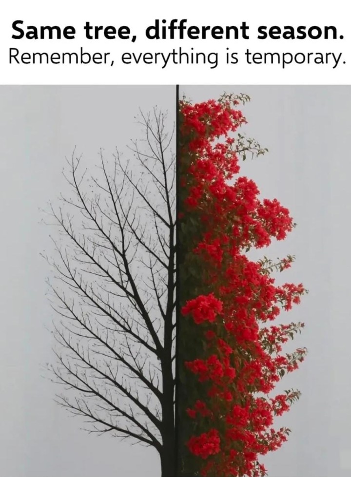 Remember everything is temporary