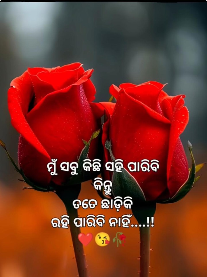 ମୁଁ ସବୁ କିଛି ସହି ପାରିବି