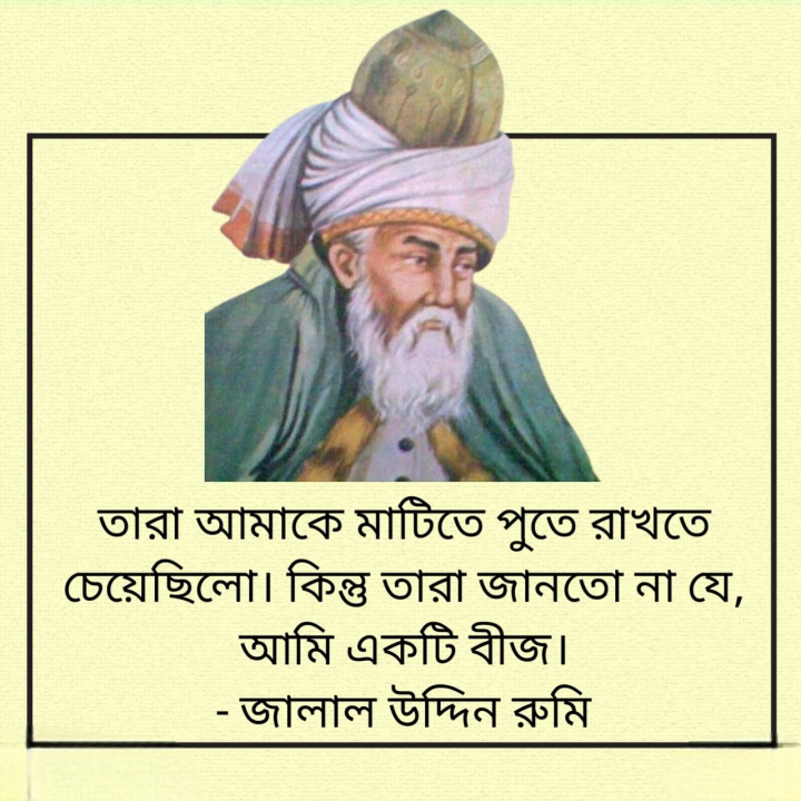 তারা জানতো না যে আমি একটি বিজ।