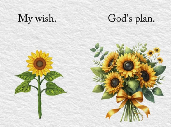 My wish and Gods plan.