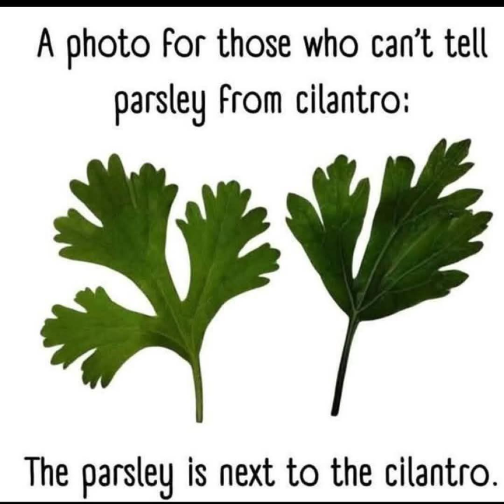 কিছু বুঝলেন?