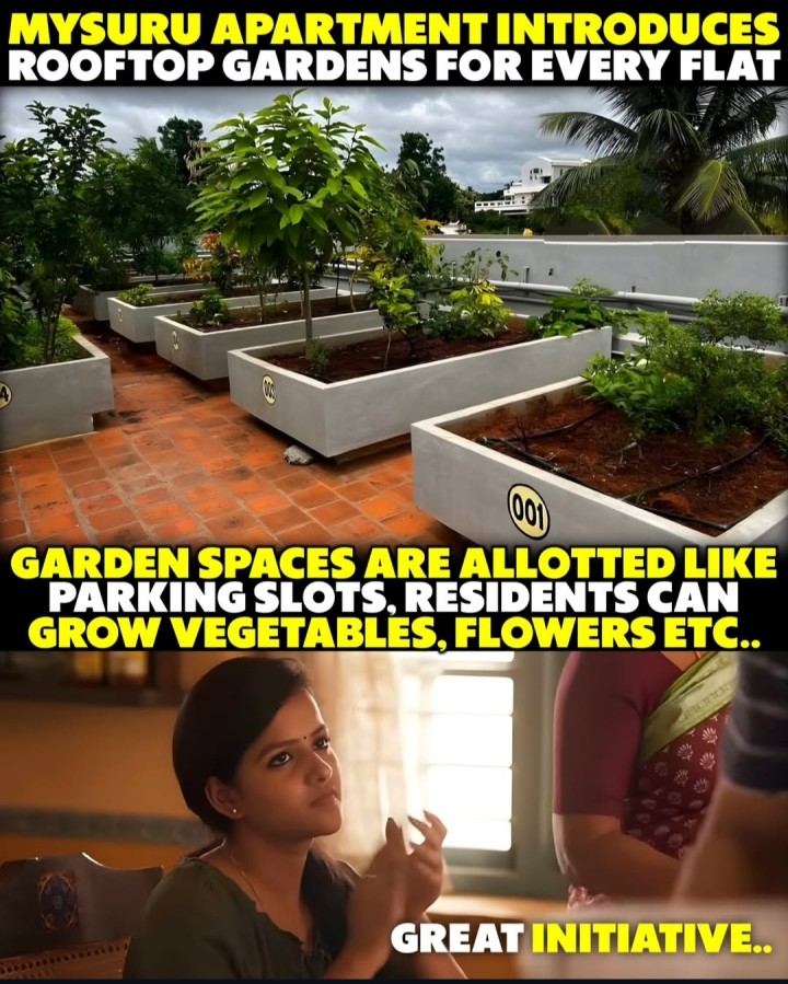 Chaala manchi aalochana kada