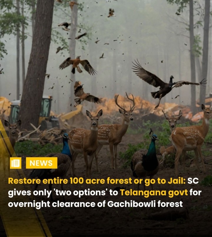 The Supreme Court took strong exception to the Telangana government clearing over 100 acres of forest land in Hyderabad’s Kancha Gachibowli area, stating that it had only two choices — either restore the lost green cover or be prepared for senior-most officials to face jail for violating court orders. Observing that it would not hesitate to go out of its way to protect the environment and uphold ecological balance, the court made it clear that blatant disregard for its directions would not be to