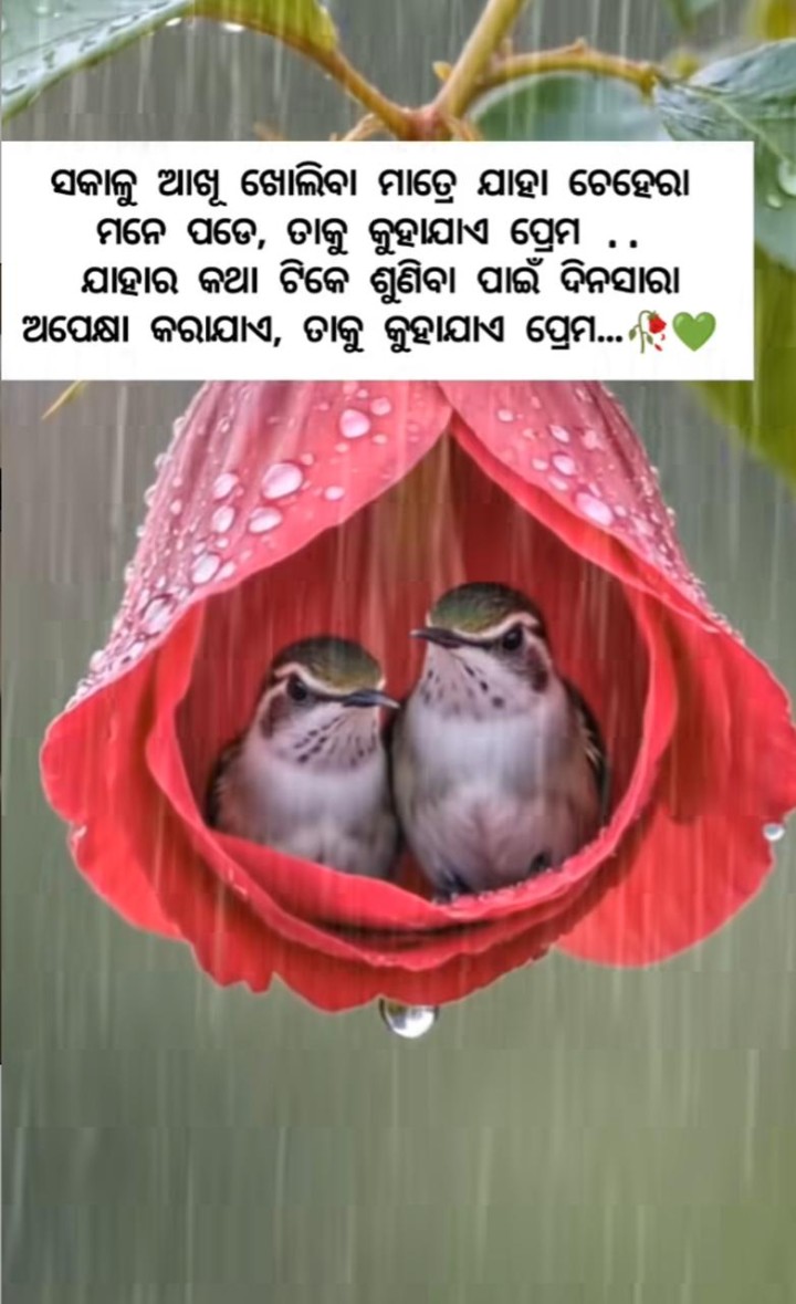 ତାକୁ କୁହା ଯାଏ ପ୍ରେମ