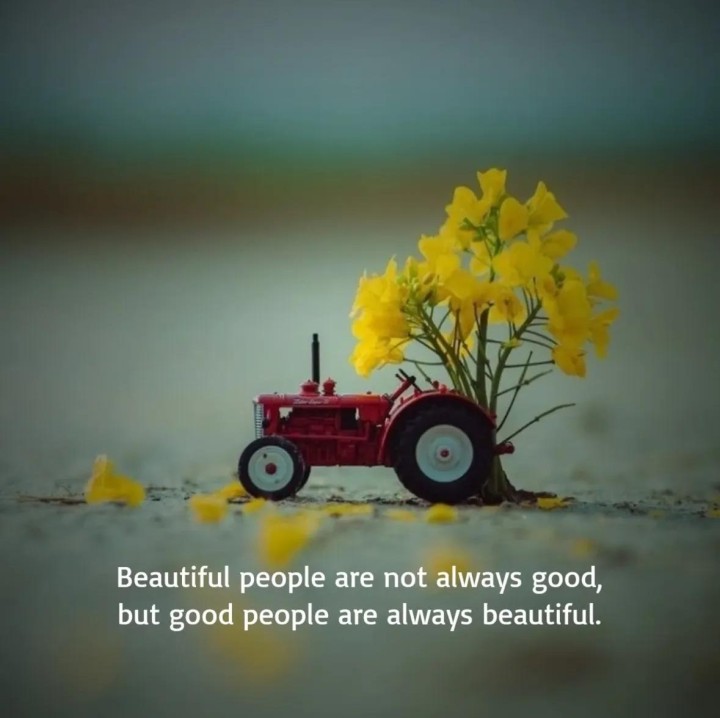 Beautiful People are not always  good