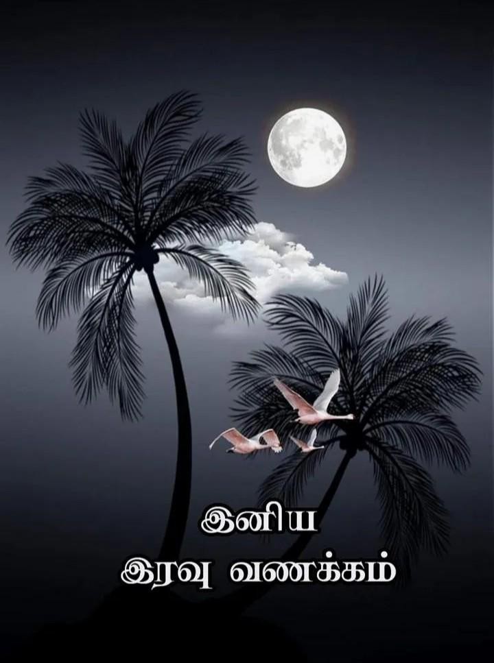 நல்ல இரவு வணக்கம்