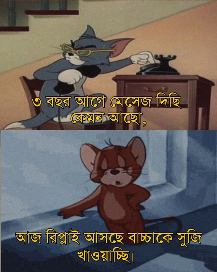 মেসেজের উত্তর।