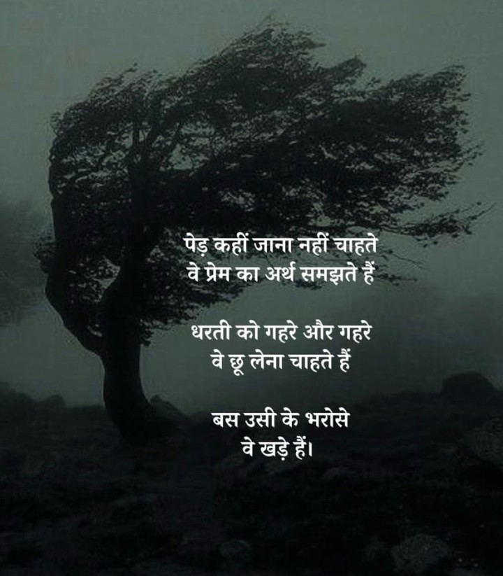 Ped pyar ki bhasha samjhte hain….