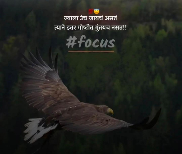 ज्याला उंच जायचं असतं त्यांनी गुंतायचं नसतं