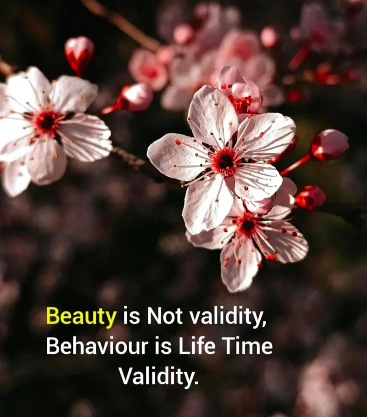 Beauty And behaviour