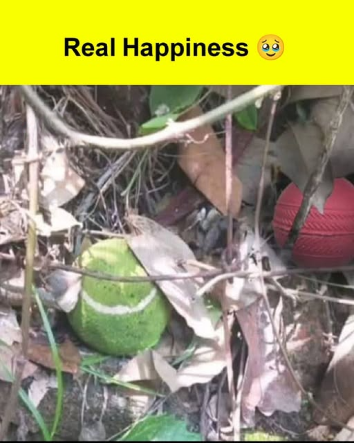 Ye din bhi kya din the