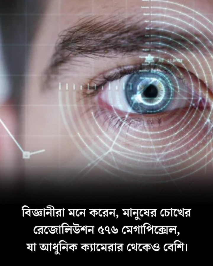 মানুষের চোখ ৫৭৬ মেগাপিক্সেলের ক্যামেরার সমান!