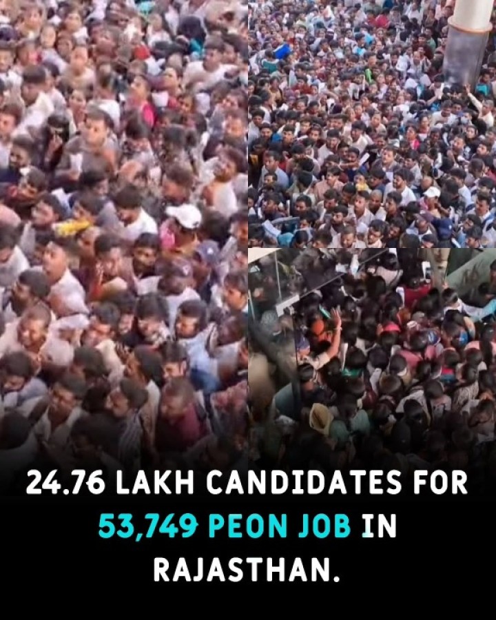 Unemployment at it's peak