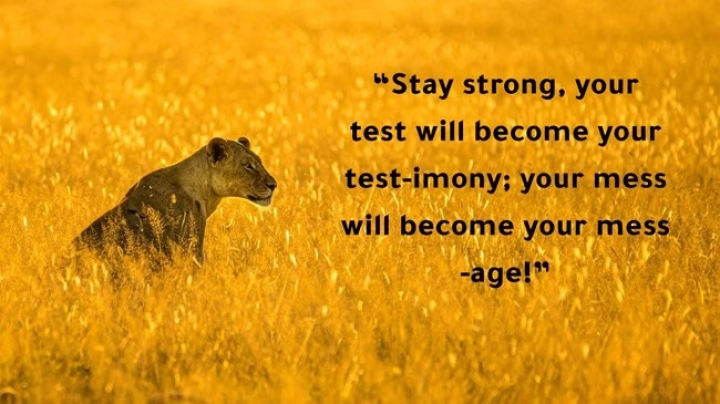 Stay strong.