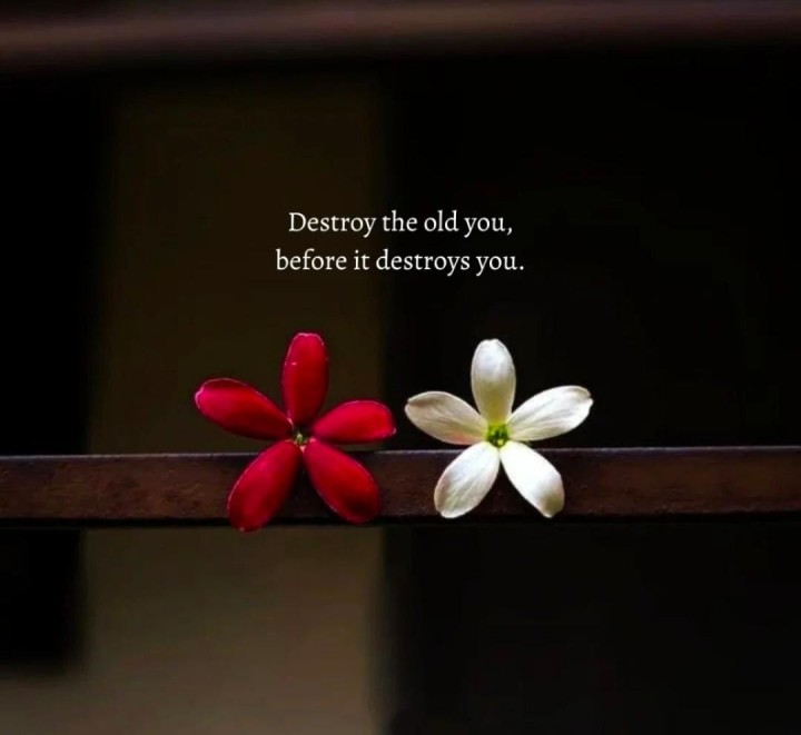 Destroy the old you