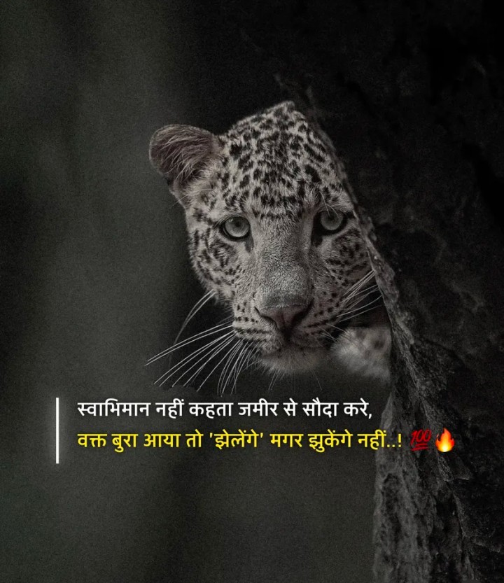 Waqt nahi kahta kinjamir se sauda karo