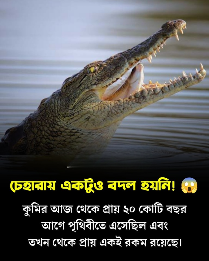 অপরিবর্তনীয়?