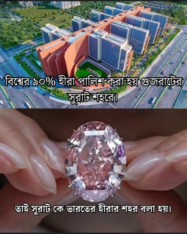 ভারতের হীরের শহর।