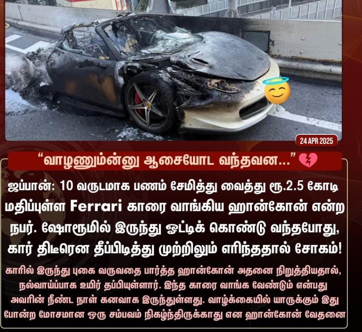 ஜப்பானில் நடந்த சோகம்