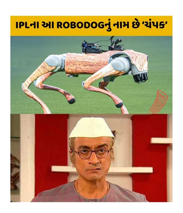 શેર કરો