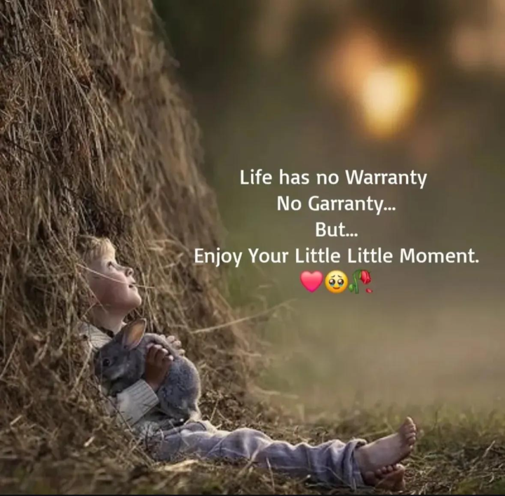 Life has no warranty