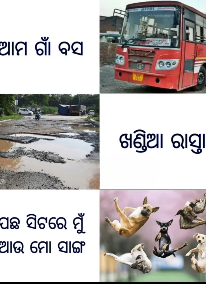 ପଛରେ ମୁଁ ଆଉ ମୋ ସାଙ୍ଗ ମାନେ