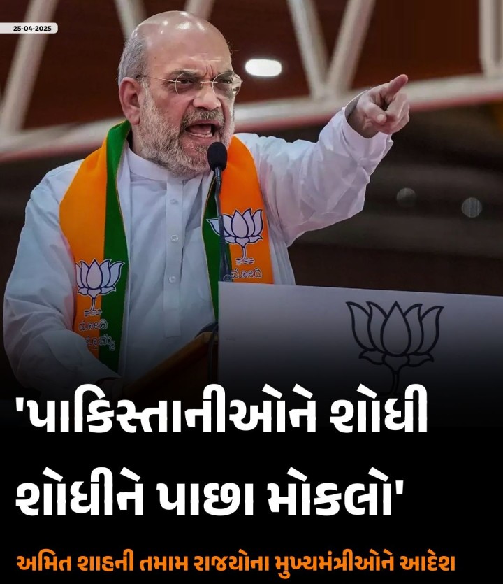 પાકિસ્તાનીઓને શોધી શોધીને પાછા મોકલો', અમિત શાહની તમામ રાજયોના મુખ્યમંત્રીઓને આદેશ