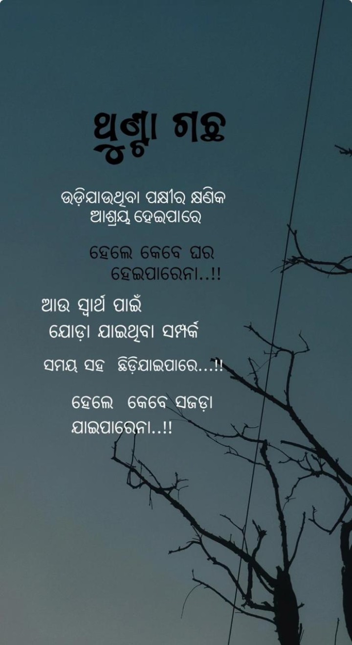 ଥୁଣ୍ଟା ଗଛ ଉଡି ଯାଉ ଥିବା ପକ୍ଷୀ ମାନେ