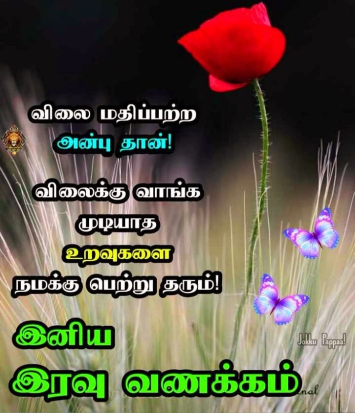 இனிய இரவுக்கால வாழ்த்துகள்!