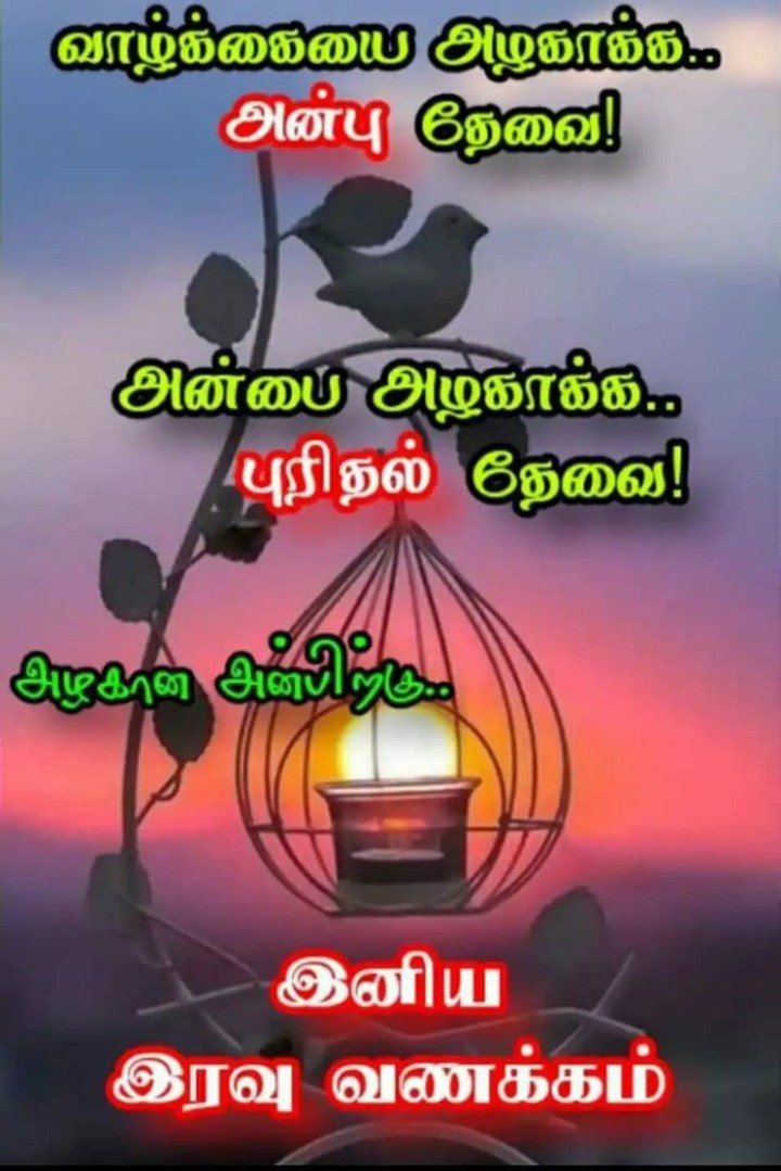 நாளைய நாள் உங்கள் வாழ்க்கையின் அற்புதமான நாளாக அமையும்..இனிய இரவு வணக்கம்.