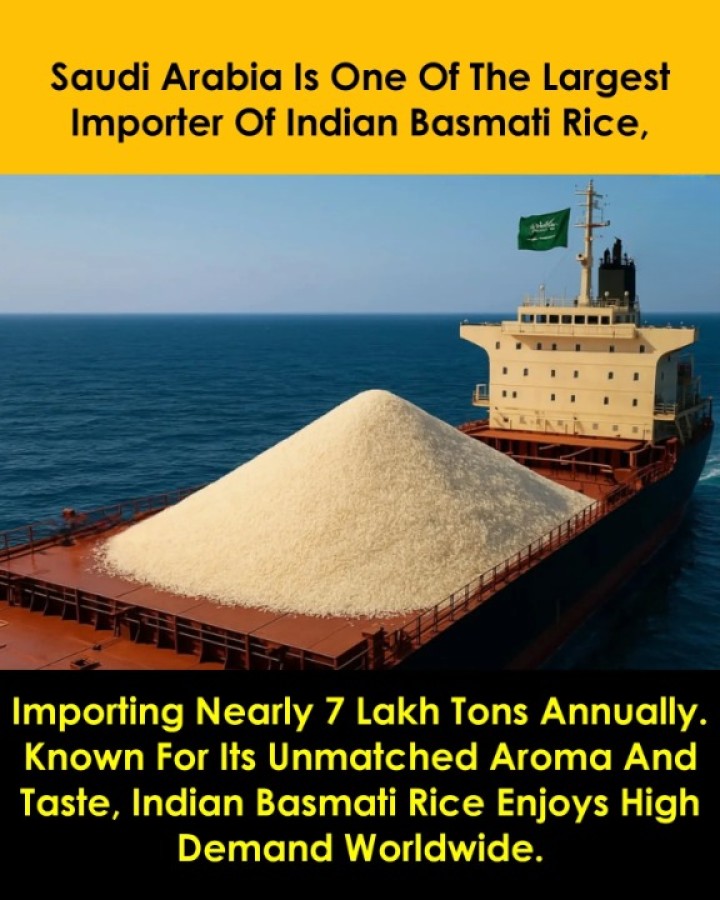 Saudi Arabia Is One Of The Largest Importer Of Indian Basmati Rice, Importing Nearly 7 Lakh Tons Every Year.