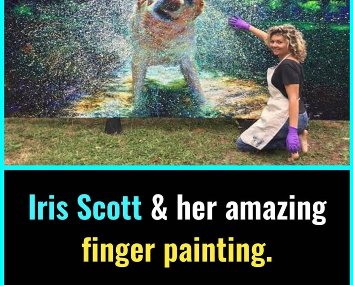 Did you know?