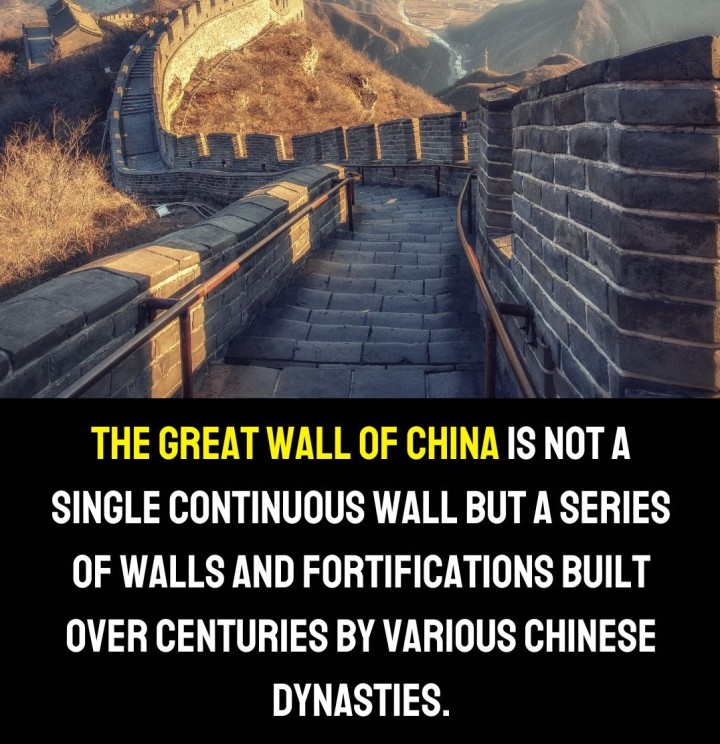 Did you know?