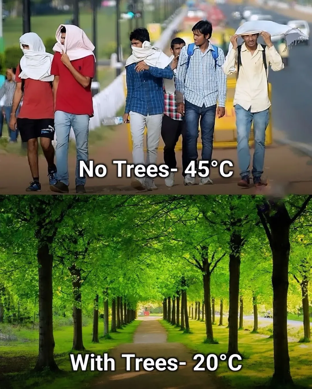 മരം ഒരു വരം