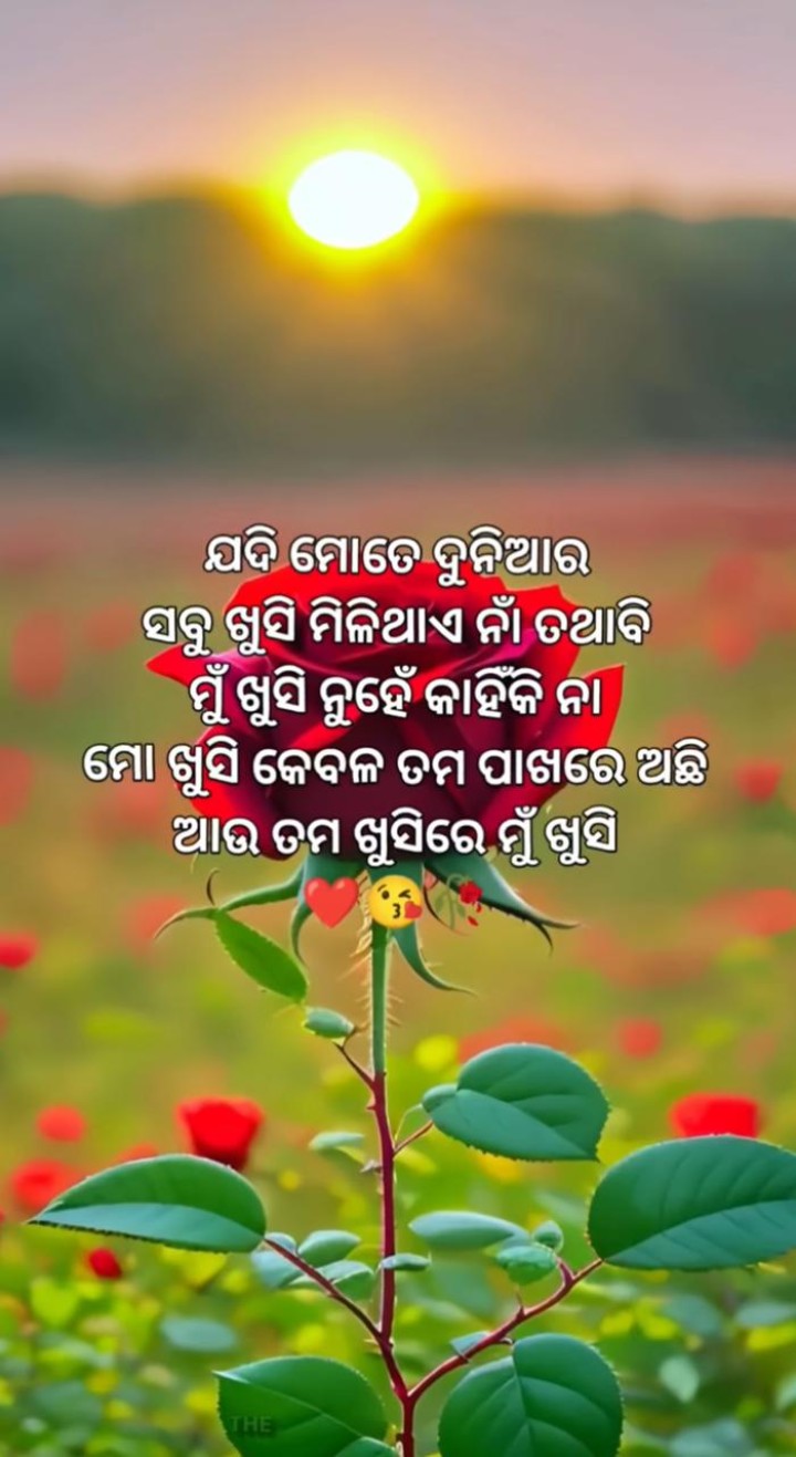 ଯଦି ମୋତେ ଦୁନିଆ ର ସବୁ ଖୁସି ମିଳି ଥାଏ