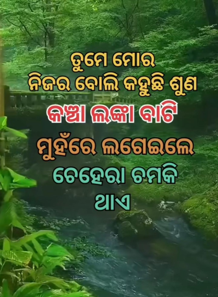 ତୁମେ ମୋର ନିଜର ଲୋକ ବୋଲି କହିଲି