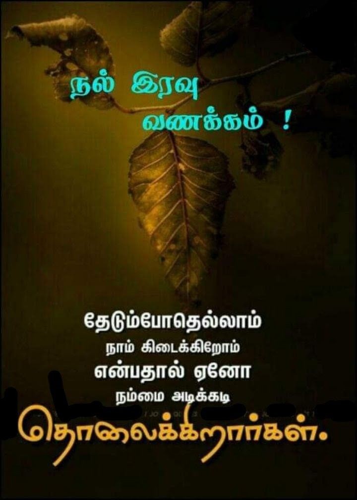 விழிகளை மூடி கவலைகளை மறந்து நிம்மதியாக உறங்கு..இனிய இரவு வணக்கம்.