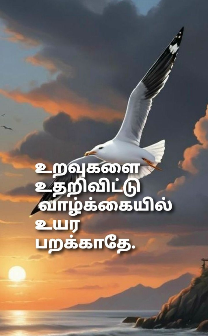 புத்துணர்ச்சி நிறைந்த காலை வாழ்த்துகள்!