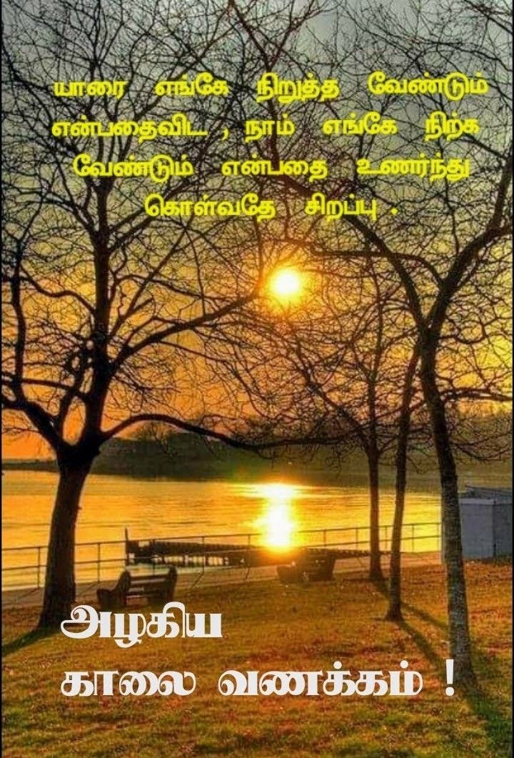 நல்ல காலை!