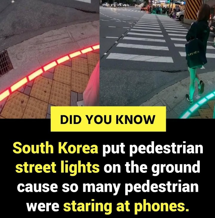 Did you know?