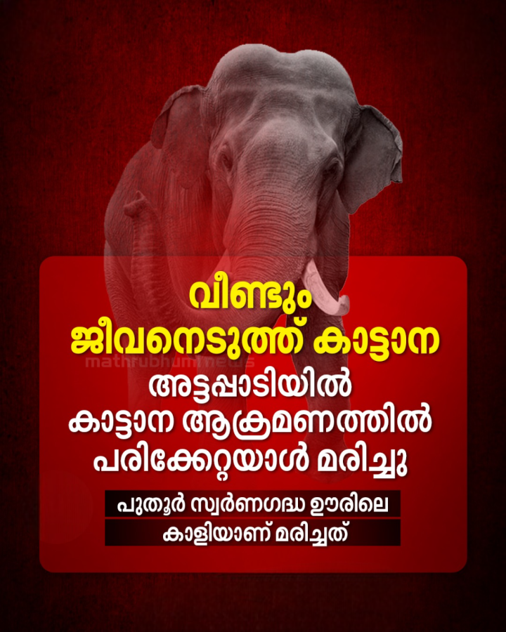വീണ്ടും ജീവനെടുത്ത് കാട്ടാന