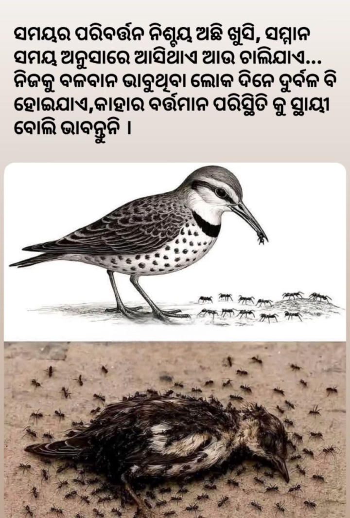 ସମୟ ପରିବର୍ତ୍ତନ ନିଶ୍ଚୟ ଅଛି