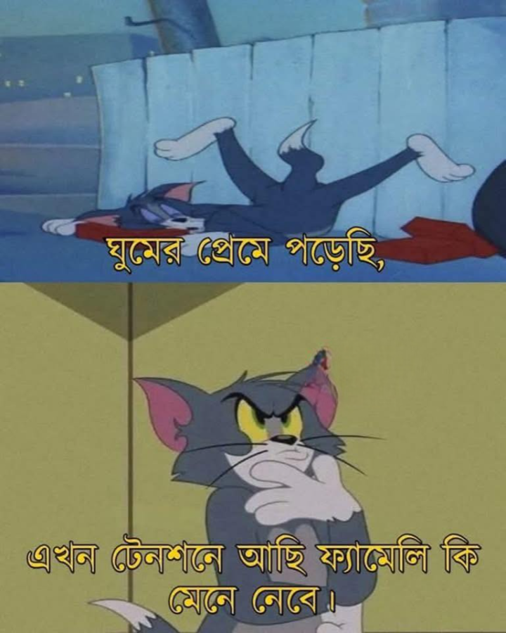 মেনে নেবে?