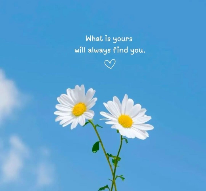 What is yours will always find you